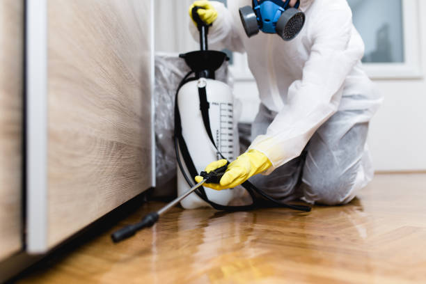 Best Bed Bug Extermination  in Shell Rock, IA