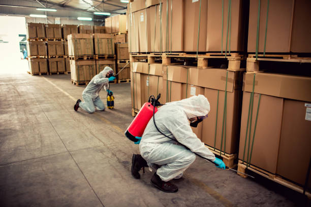 Best Pest Removal Services  in Shell Rock, IA