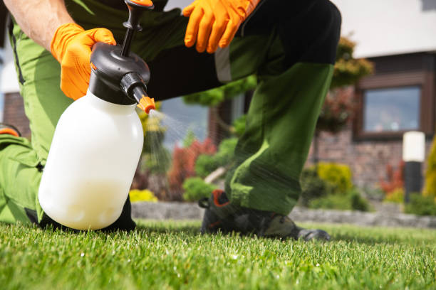 Wasp Removal Services in Shell Rock, IA