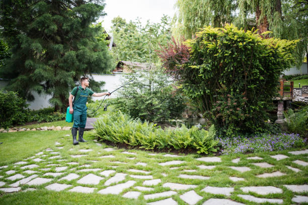 Trusted Shell Rock, IA Pest Control Experts