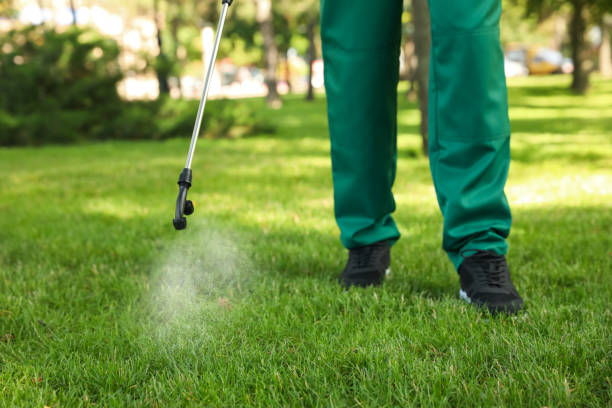 Best Affordable Pest Control Services  in Shell Rock, IA