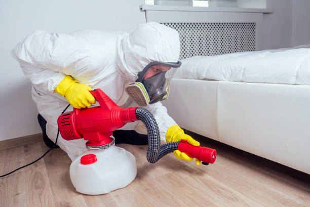 Best Flea Control Services  in Shell Rock, IA
