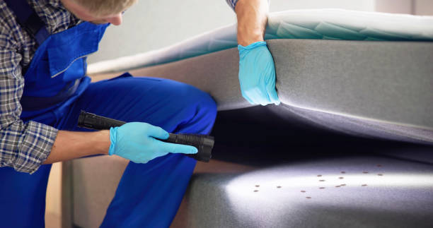 Best Bed Bug Extermination  in Shell Rock, IA