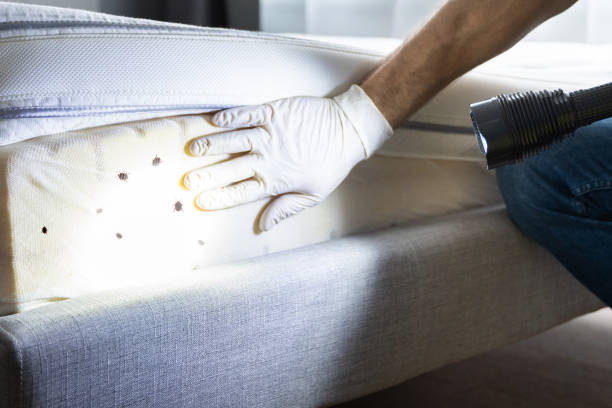 Pest Control Cost in Shell Rock, IA