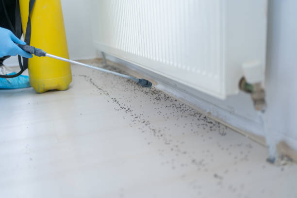 Best Pest Control for Businesses  in Shell Rock, IA