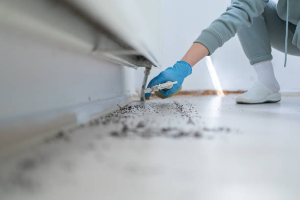 Best Pest Inspection Near Me  in Shell Rock, IA