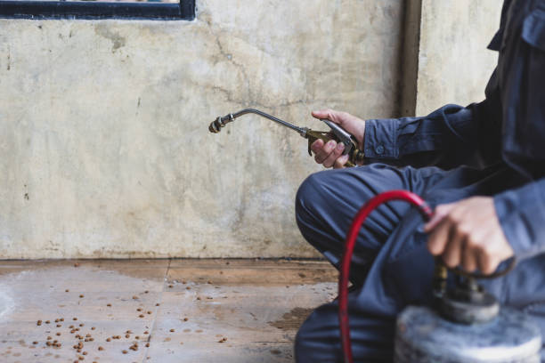 Best Emergency Pest Control  in Shell Rock, IA